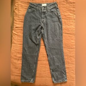 NWOT Everlane Curvy 90s Cheeky Jean - Size 31